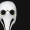 Authentic White Plague Doctor "Naso Peste Cera" Masquerade Mask