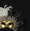 Colombina Piume Reale Black/White Masquerade Mask
